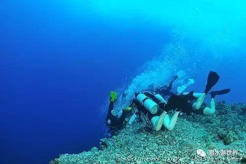 大脚车越野竞速